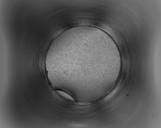 X0000092050857200710031041