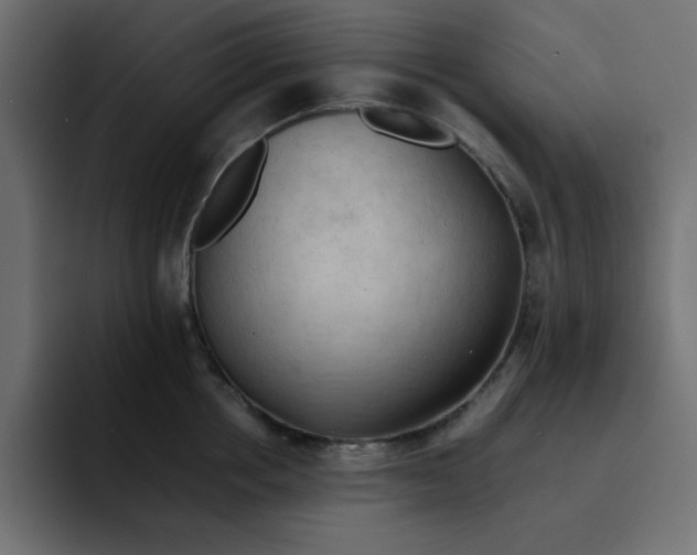 X0000092050858200710031041