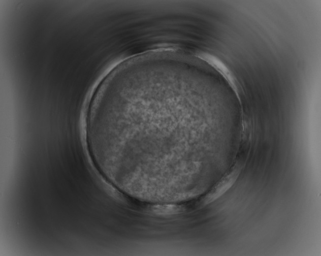 X0000092050859200710031041