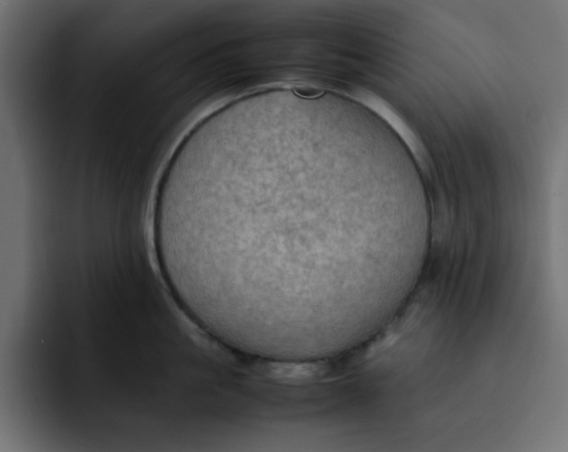 X0000092050861200710031041