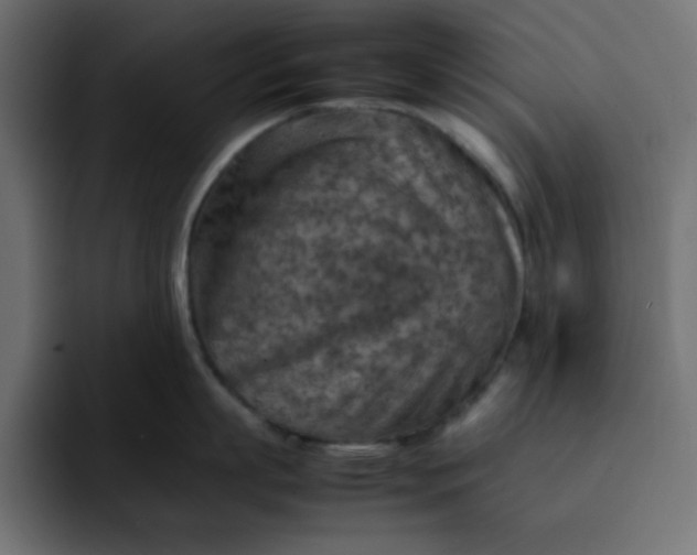 X0000092050863200710031041