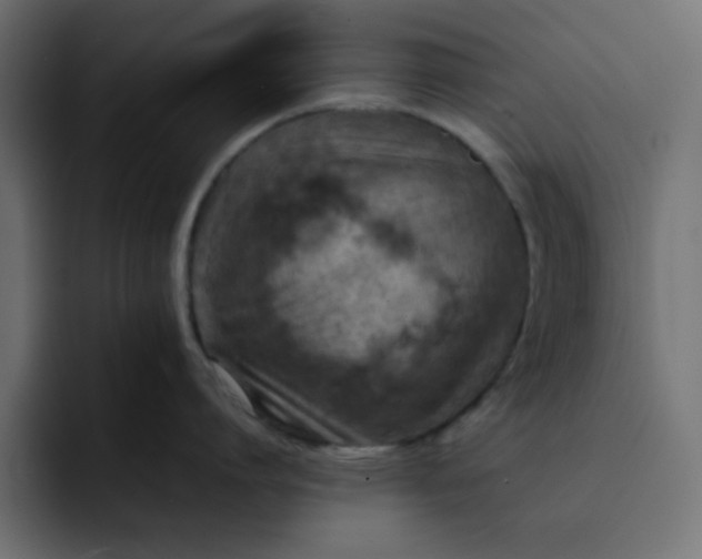 X0000092050864200710031041