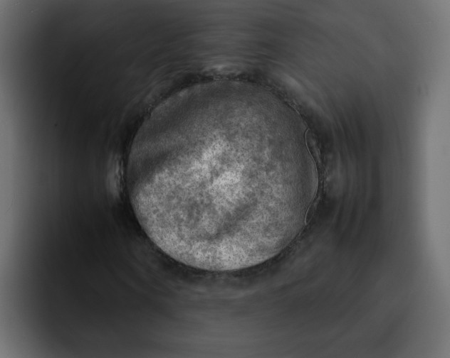 X0000092050866200710031041