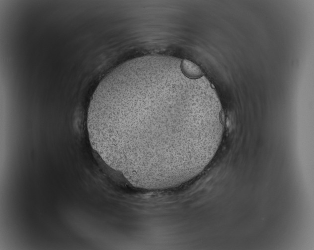 X0000092050867200710031041