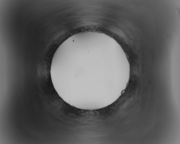 X0000092050869200710031041