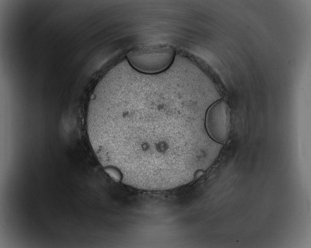 X0000092050871200710031041