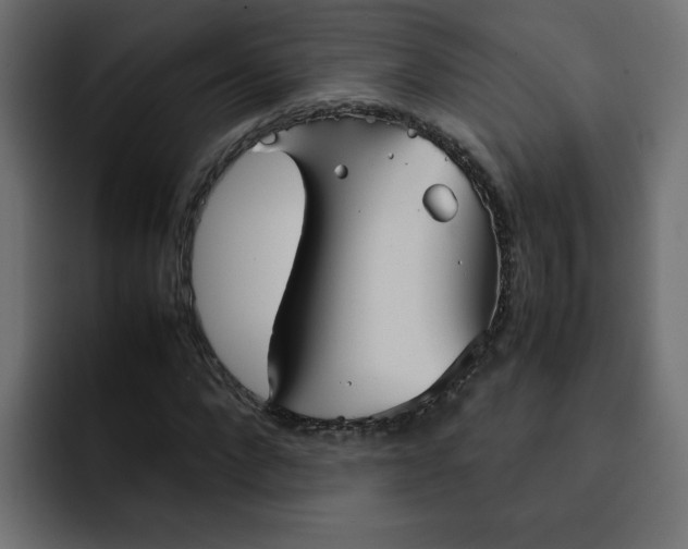 X0000092050872200710031041