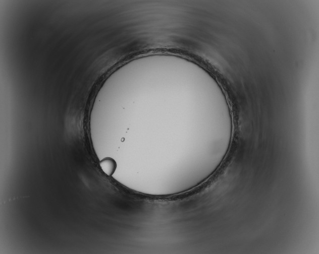 X0000092050873200710031041