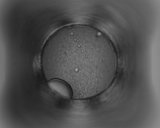 X0000092050875200710031040