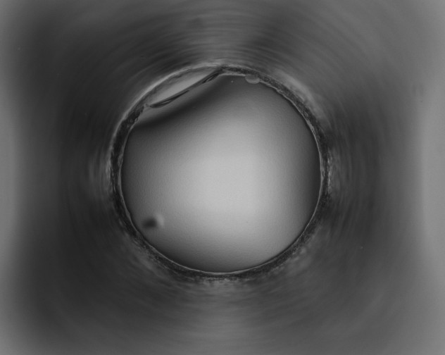 X0000092050876200710031040