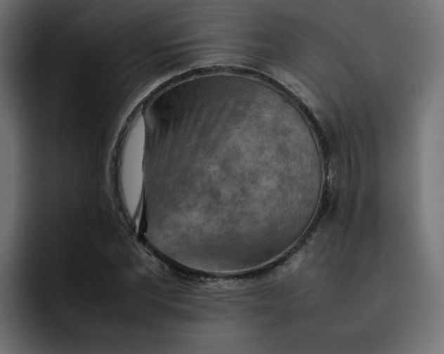 X0000092050877200710031040