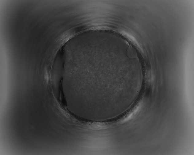 X0000092050881200710031040