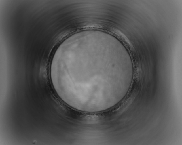 X0000092050882200710031040