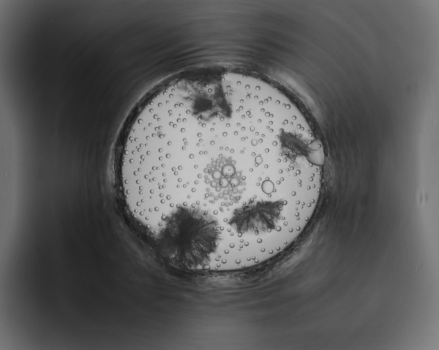 X0000092050883200710031040