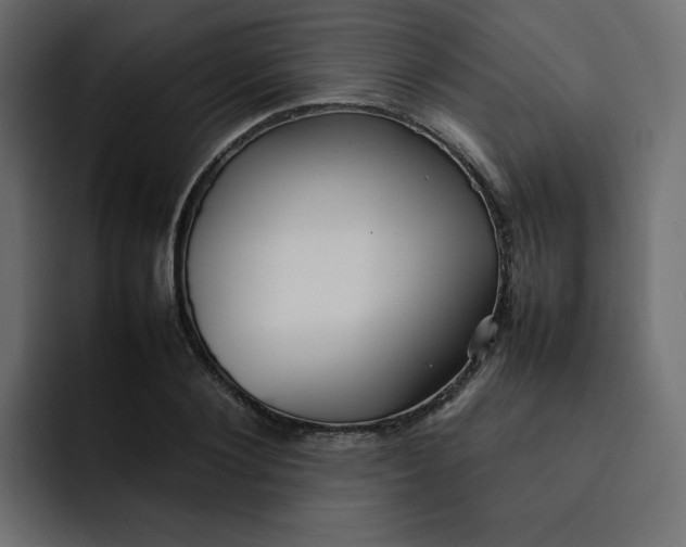 X0000092050884200710031040