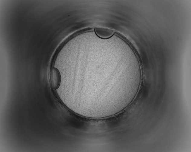 X0000092050887200710031040