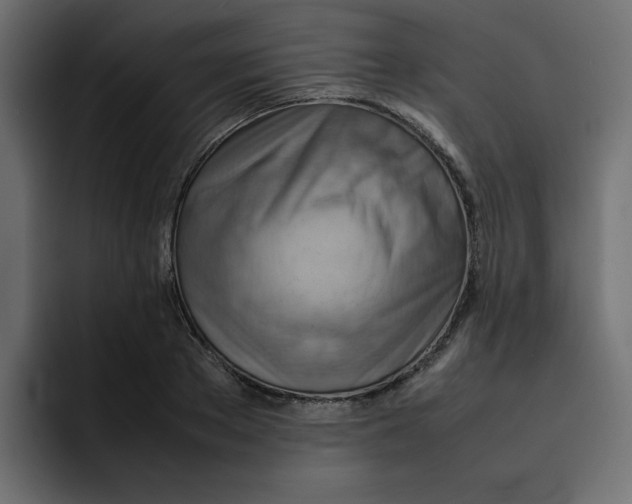 X0000092050889200710031040