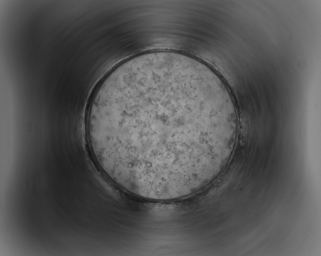 X0000092050890200710031040