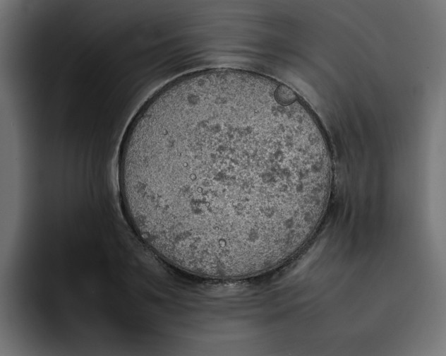 X0000092050891200710031040