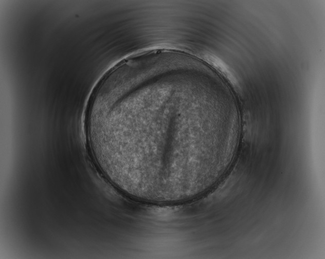 X0000092050892200710031040