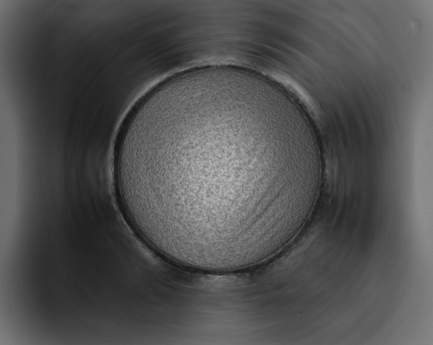 X0000092050894200710031040