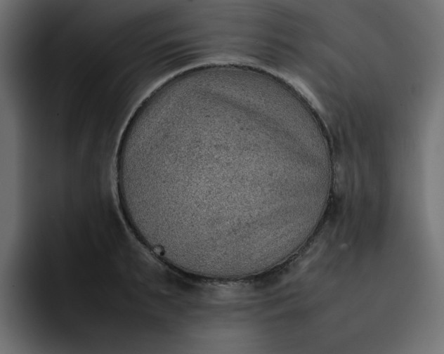 X0000092050895200710031040