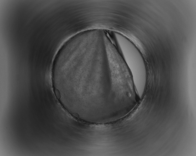 X0000092050896200710031040