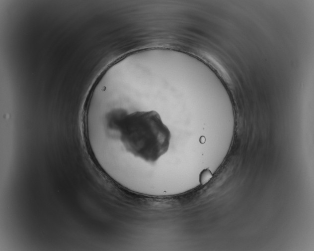 X0000092050899200710031040