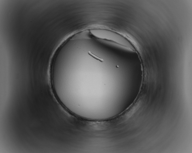 X0000092050902200710031040