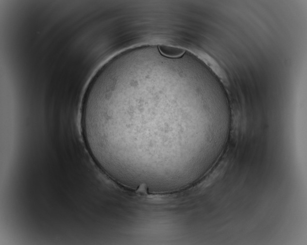 X0000092050904200710031040