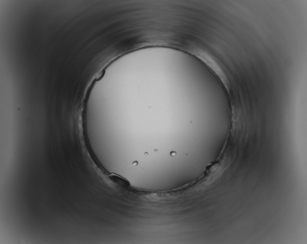 X0000092050906200710031040