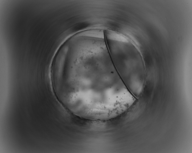 X0000092050907200710031040