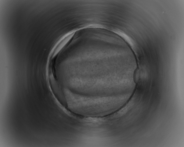 X0000092050910200710031040