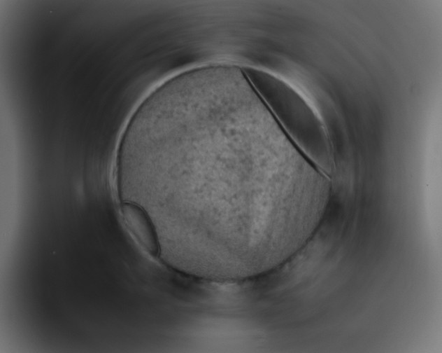 X0000092050911200710031040