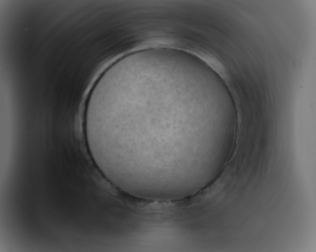 X0000092050912200710031040