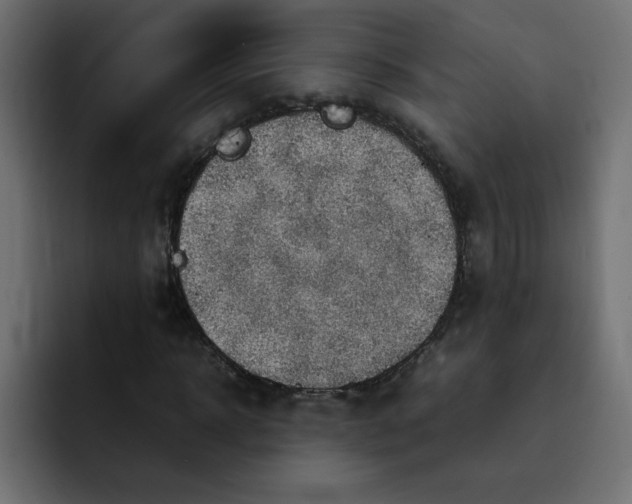 X0000092050918200710031040