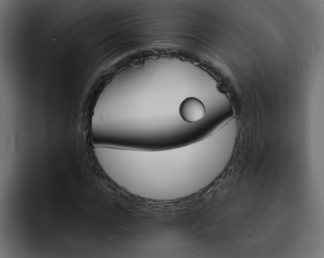 X0000092050920200710031040