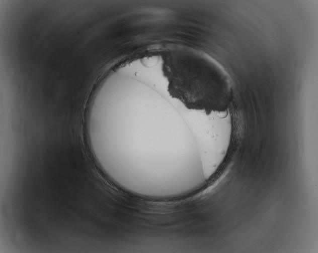 X0000092050921200710031040