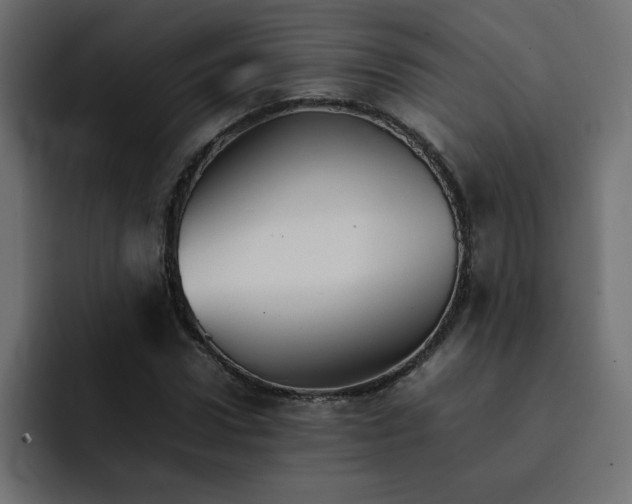 X0000092050922200710031040