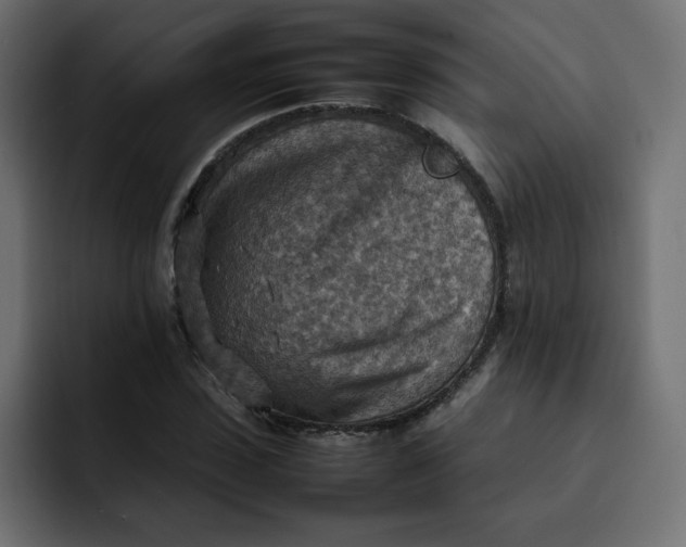 X0000092050923200710031040