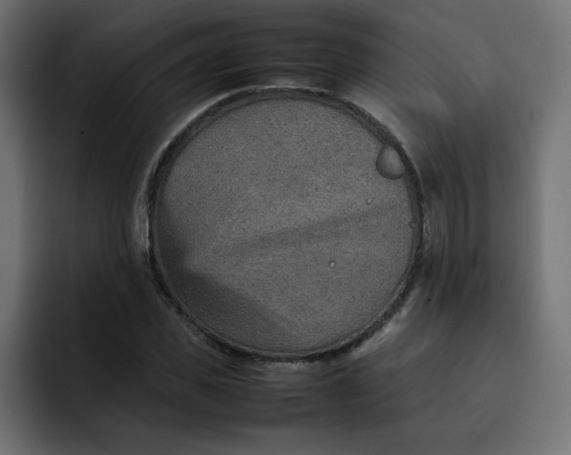 X0000092050925200710031040