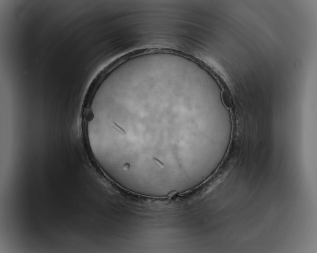 X0000092050928200710031040