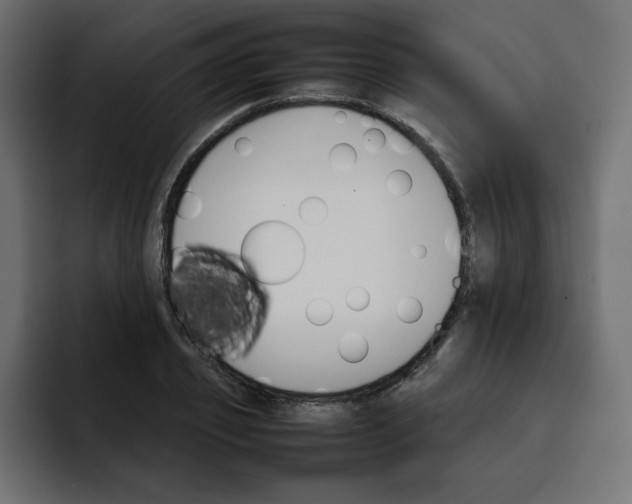 X0000092050933200710031040