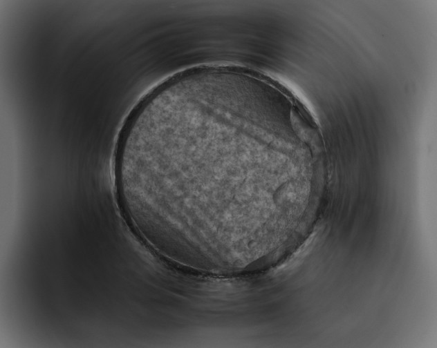 X0000092050935200710031040