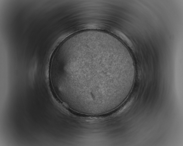 X0000092050938200710031040