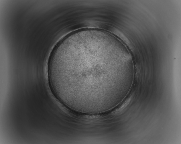 X0000092050939200710031040