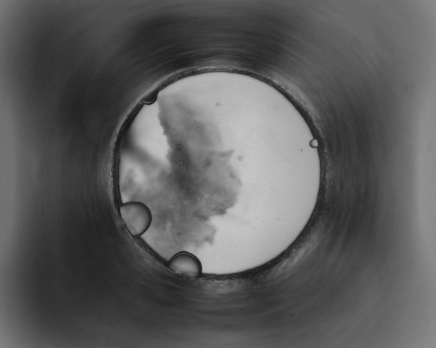 X0000092050941200710031040