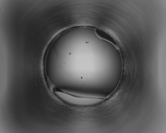 X0000092050942200710031040