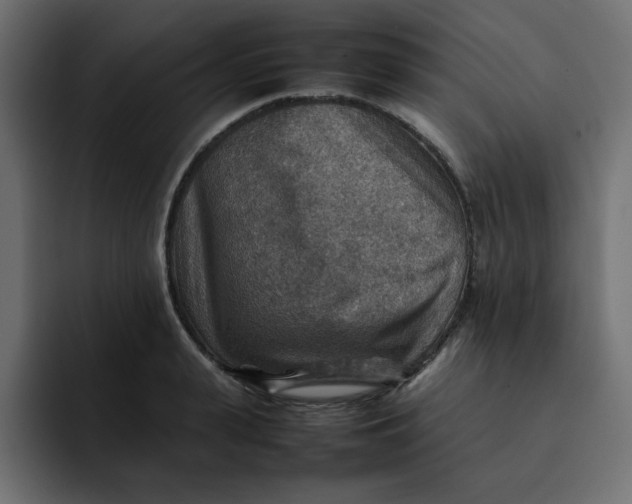 X0000092050943200710031040