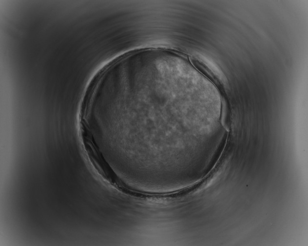 X0000092050944200710031040